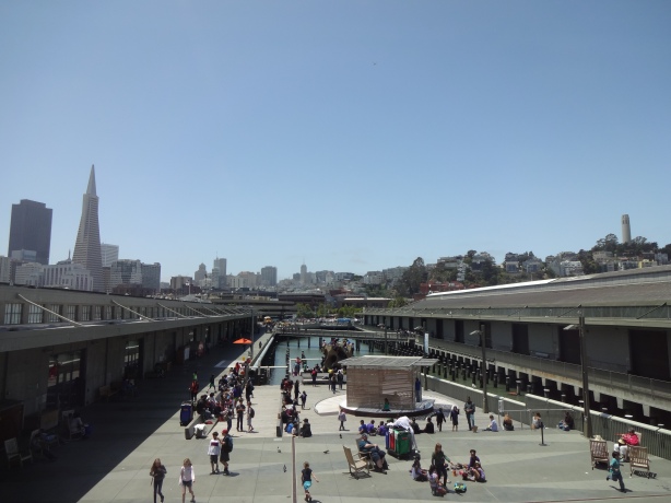 vyhled z toho muzea na SF skyline, vpravo mrakodrapky, vpravo jeden z tech jejich silenejch kopcu