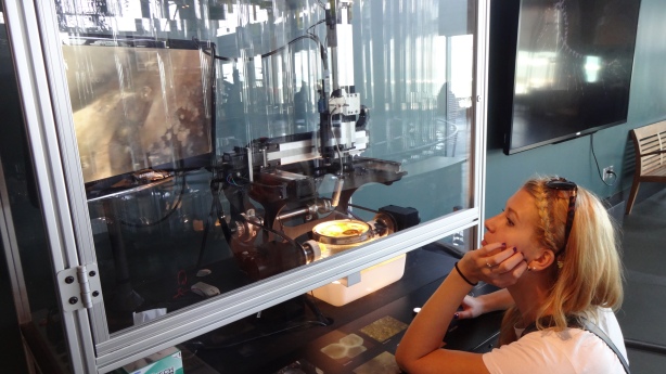 Terezka si hraje v muzeu - zkouma hnusiky pod mikroskopem.
